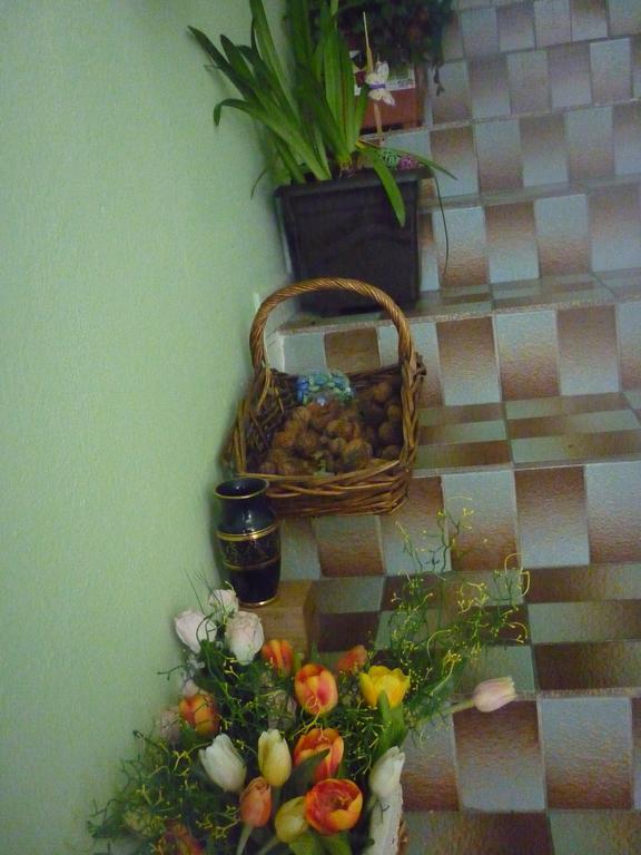 Milanna Apartment Breclav Luaran gambar